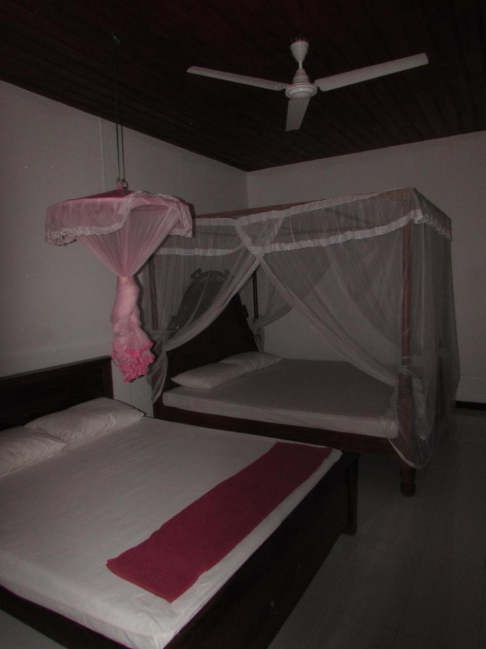Rainbow Guest House Mirissa Dış mekan fotoğraf
